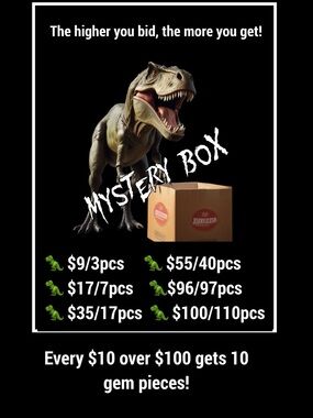 Mystery Box The More You BID , The More You GET! PLEASE READ BEFORE BIDDING